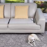 SVD.PET (2-Pack Pet Training Mat with Tester, Shock Pad for Dogs Cats, Electronic Repellent mat for Indoor, 3 Training Modes, 5 Levels, Pet Safe Mode (White controler 60" X 12")