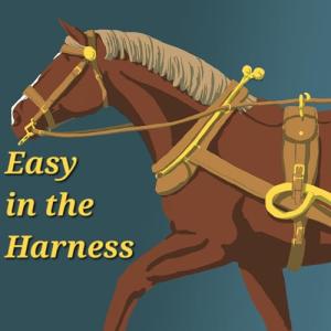 Easy in the Harness