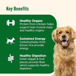 Nutrish Dish Premium Dry Dog Food, Chicken & Brown Rice Recipe with Veggies & Fruit, 23 Pounds