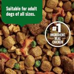 Nutrish Dish Premium Dry Dog Food, Chicken & Brown Rice Recipe with Veggies & Fruit, 23 Pounds