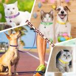 Amylove 48 Pcs Dog Collar and Leash Set, Polypropylene Adjustable Puppy Collars for Medium Dogs Small Pet Puppy Walking Training with Hook and Buckle(Multicolor,Solid Pattern)