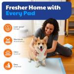 AKC XL Training Pads - 50 Count Pack