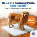 AKC XL Training Pads - 50 Count Pack