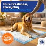 AKC XL Training Pads - 50 Count Pack