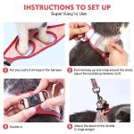 Betmaypet Cat Harness and Leash Set, Soft and Breathable Vest with Reflective Strip, Escape Proof Kitten Harness, Easy to Wear for Cats Walking and Traveling (Purple, M)