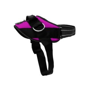 ShawnCo No-Pull Dog Harness with Leash Clips