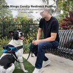ShawnCo No-Pull Dog Harness with Leash Clips