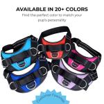 ShawnCo No-Pull Dog Harness with Leash Clips