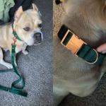 Velvet Dog Collar and Leash Set for Pets