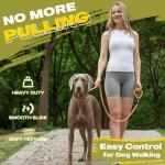 Durable No-Pull Dog Training Leash - 6 FT