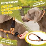 Durable No-Pull Dog Training Leash - 6 FT