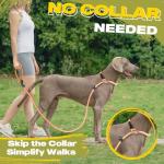 Durable No-Pull Dog Training Leash - 6 FT