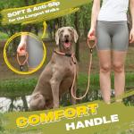 Durable No-Pull Dog Training Leash - 6 FT