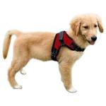 Copatchy No Pull Reflective Adjustable Dog Harness with Handle- Comfortable Soft All Weather Mesh, Easy On Puppy Harness for Small Medium and Large Dogs (Red) Small