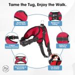 Copatchy No Pull Reflective Adjustable Dog Harness with Handle- Comfortable Soft All Weather Mesh, Easy On Puppy Harness for Small Medium and Large Dogs (Red) Small