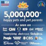 Bodhi Dog Bitter Apple No Chew Spray - Natural Training Aid for Dogs & Puppies - Discourages Pet from Chewing and Biting on Furniture, Shoes, Plants & More - Safe, Humane - Made in USA (8 Fl Oz)