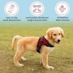 Copatchy No Pull Reflective Adjustable Dog Harness with Handle- Comfortable Soft All Weather Mesh, Easy On Puppy Harness for Small Medium and Large Dogs (Red) Small