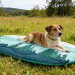 PUPTECK Reversible Outdoor Travel Dog Bed Waterproof, Camping Essentials with Carry Bag, Portable & Foldable Pet Pad Crate Kennel Mat for Large Medium Small Dogs, Travel Accessories, 43”x26” Blue