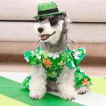 CuteBone Frilly Dog Dress Princess Puppy St.Patrick's Day Dresses with Ruffled Sleeves Cat Clothes Outfit for Small Dogs Girl Pet Apparel FX12S