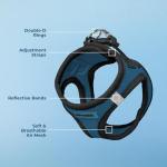 Best Pet Supplies - All Weather Mesh / Plush, Reflective, No Pull Harness for Small, Medium Dogs, Cats - Secure with Hook & Loop Fastener, Buckle, Double D-Rings - Blue/Black Trim, L