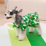 CuteBone Frilly Dog Dress Princess Puppy St.Patrick's Day Dresses with Ruffled Sleeves Cat Clothes Outfit for Small Dogs Girl Pet Apparel FX12S
