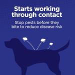 Flea and Tick Prevention for Extra Large Dogs