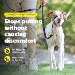 PetSafe Gentle Leader Collar with Training DVD