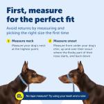 PetSafe Gentle Leader Collar with Training DVD