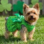 St. Patrick's Day Dog Dress, Green Shamrock Clover Puppy Skirt with Bowknot, Soft Breathable Pet Clothes for Small Medium Dogs & Cats, Cute Irish Holiday Outfit Apparel & Costume