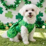 St. Patrick's Day Dog Dress, Green Shamrock Clover Puppy Skirt with Bowknot, Soft Breathable Pet Clothes for Small Medium Dogs & Cats, Cute Irish Holiday Outfit Apparel & Costume