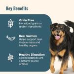 Rachael Ray Nutrish Zero Grain Salmon Dog Food