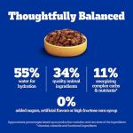 Pedigree Meaty Dog Food Variety Pack, 18 Pouches