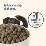 Rachael Ray Nutrish Zero Grain Salmon Dog Food