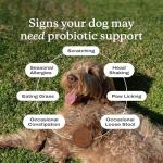 PetLab Co. Salmon Probiotics for Dogs - 30 Chews