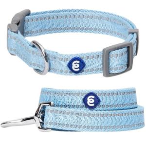 Blueberry Pet Essentials Reflective Dog Collar & Leash Set, Adjustable for Medium Dogs | Safe Walking Gear for Pet Parents, Puppy Training & Daily Use MediumDogs, Baby Blue