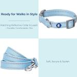 Blueberry Pet Essentials Reflective Dog Collar & Leash Set, Adjustable for Medium Dogs | Safe Walking Gear for Pet Parents, Puppy Training & Daily Use MediumDogs, Baby Blue