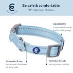Blueberry Pet Essentials Reflective Dog Collar & Leash Set, Adjustable for Medium Dogs | Safe Walking Gear for Pet Parents, Puppy Training & Daily Use MediumDogs, Baby Blue
