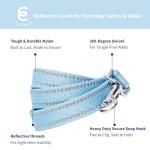 Blueberry Pet Essentials Reflective Dog Collar & Leash Set, Adjustable for Medium Dogs | Safe Walking Gear for Pet Parents, Puppy Training & Daily Use MediumDogs, Baby Blue