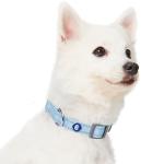 Blueberry Pet Essentials Reflective Dog Collar & Leash Set, Adjustable for Medium Dogs | Safe Walking Gear for Pet Parents, Puppy Training & Daily Use MediumDogs, Baby Blue