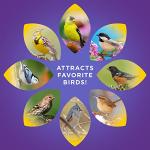 Audubon Park 12228 No-Waste Blend Wild Bird Food, 5-Pound