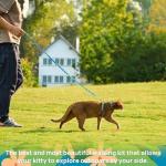 Cat Harness and Leash Set - Escape Proof Adjustable Cat Harness, Comfortable Soft Lightweight, Use Safe & Easy, Walking Travel Kitten Harness for Small Medium Large Cats (Hawaii Green)