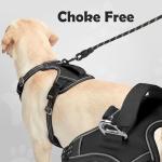 Adjustable No-Pull Dog Harness for Medium Breeds
