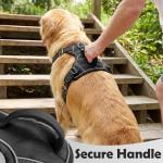 Adjustable No-Pull Dog Harness for Medium Breeds
