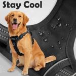 Adjustable No-Pull Dog Harness for Medium Breeds