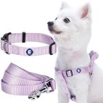 Blueberry Pet Essentials Matching Harness, Collar & Leash Set in Lavender, Adjustable Nylon for Medium & Large Breeds