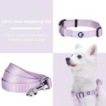 Blueberry Pet Essentials Matching Harness, Collar & Leash Set in Lavender, Adjustable Nylon for Medium & Large Breeds