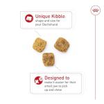 Royal Canin Breed Health Nutrition Dachshund Adult Dry Dog Food, 10 lb Bag