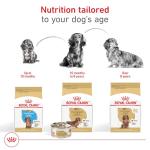 Royal Canin Breed Health Nutrition Dachshund Adult Dry Dog Food, 10 lb Bag