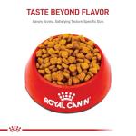 Royal Canin Breed Health Nutrition Dachshund Adult Dry Dog Food, 10 lb Bag