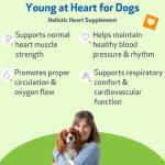 Young at Heart: Herbal Supplement for Pets